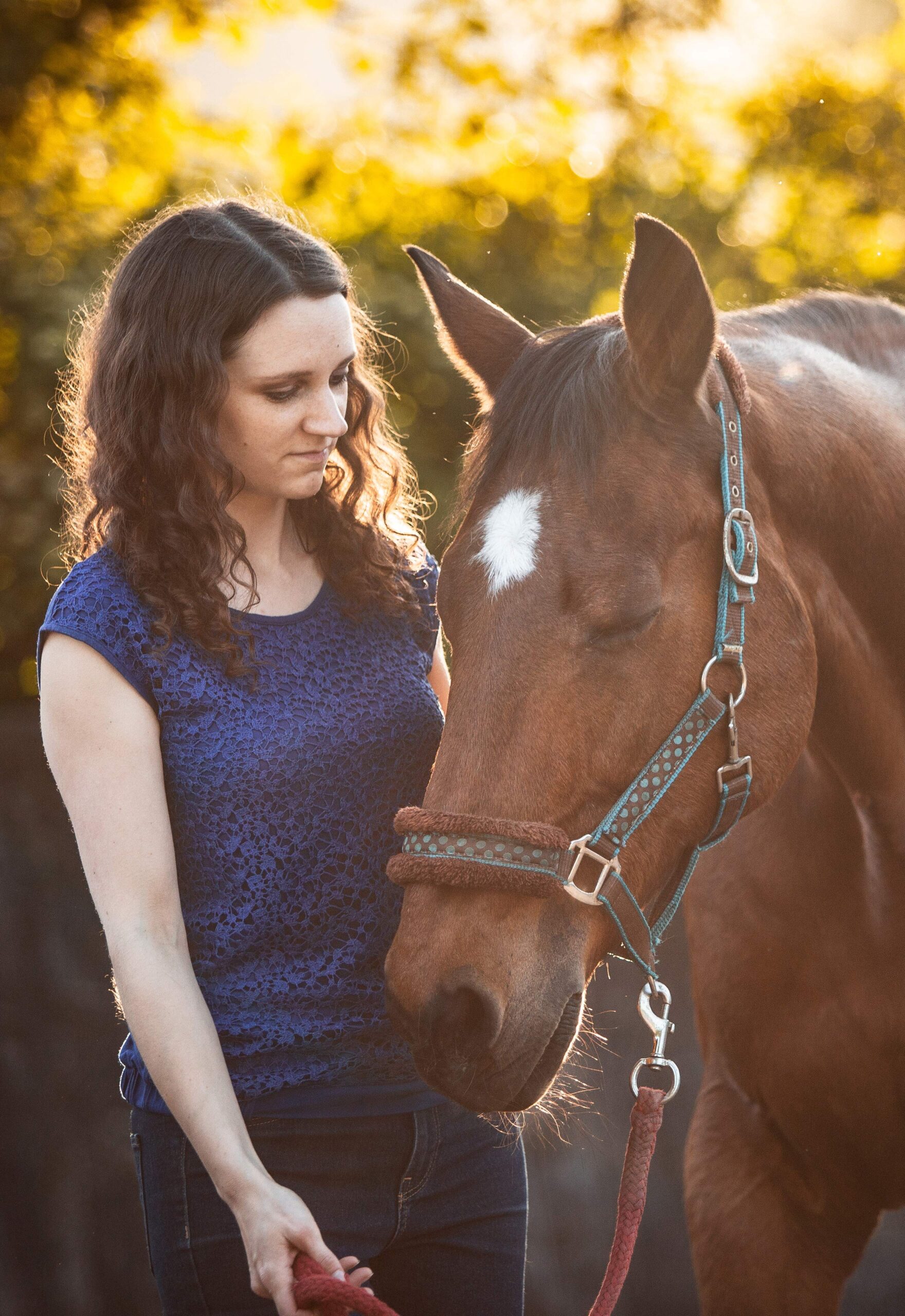 isabel-schlenk-startseite-header-tierkommunikation